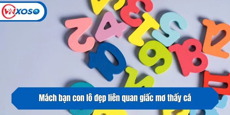 Mách bạn con lô đẹp liên quan giấc mơ thấy cá