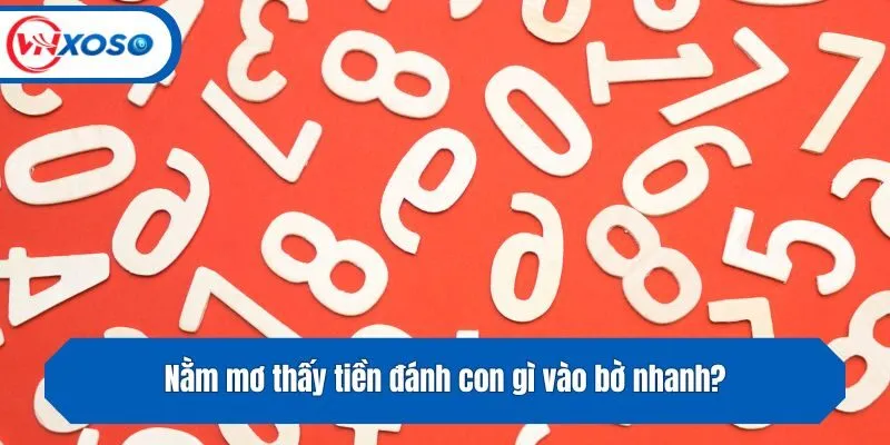 Nằm mơ thấy tiền đánh con gì vào bờ nhanh?