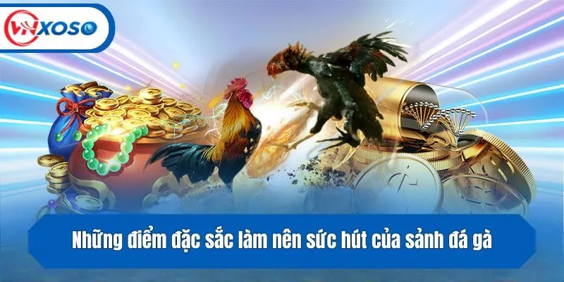 Những điểm đặc sắc làm nên sức hút của sảnh đá gà